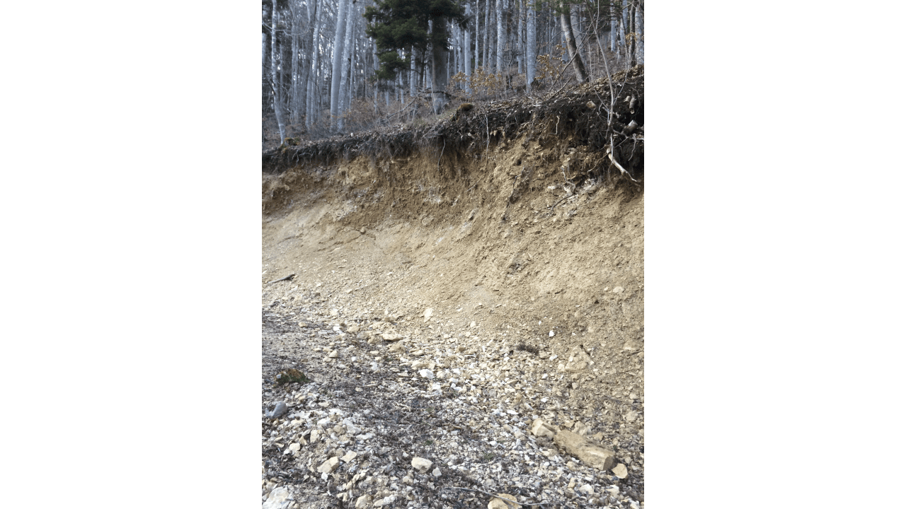 Ressourcen des Ortes: Holz, Lehm und Kalksteine (Bild: Delphine Schmid)